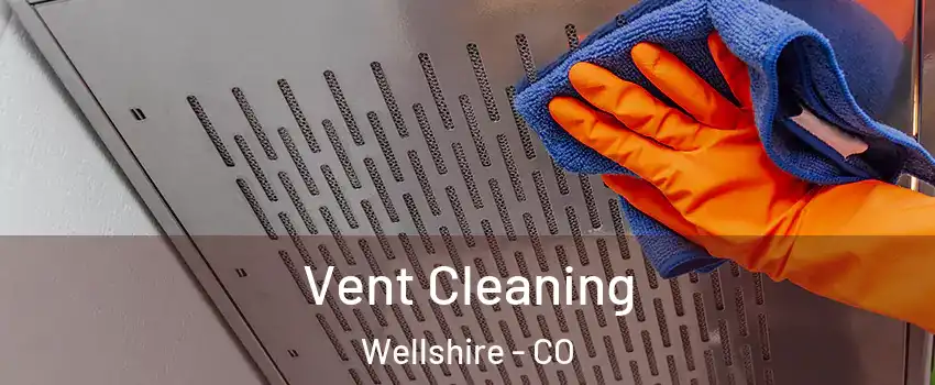 Vent Cleaning Wellshire - CO