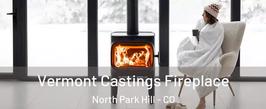 Vermont Castings Fireplace North Park Hill - CO