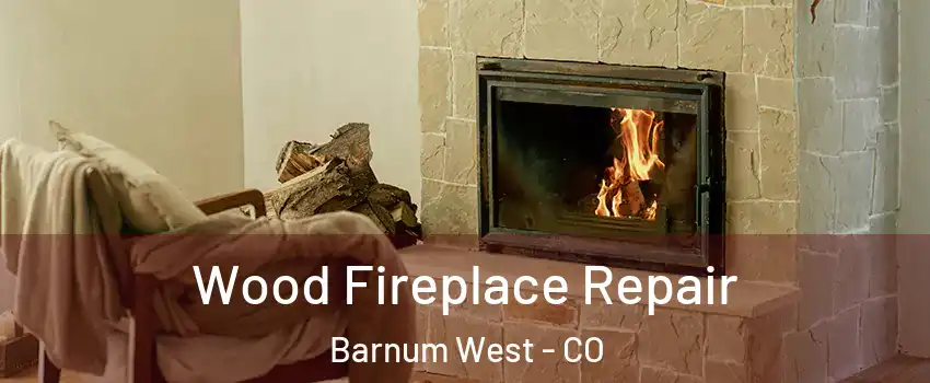 Wood Fireplace Repair Barnum West - CO