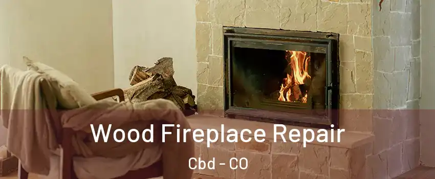 Wood Fireplace Repair Cbd - CO