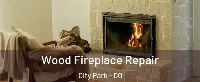 Wood Fireplace Repair City Park - CO