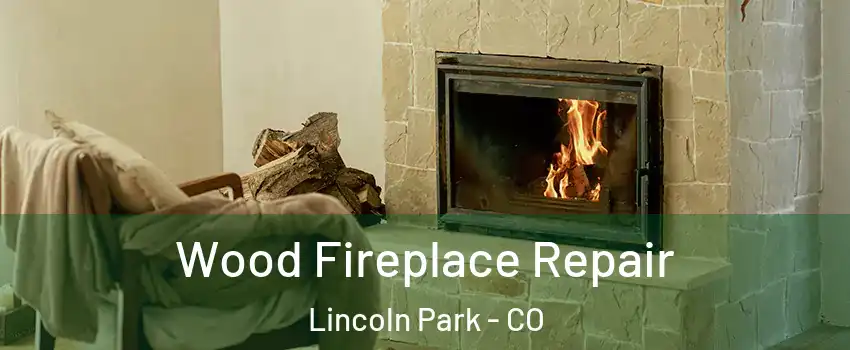 Wood Fireplace Repair Lincoln Park - CO