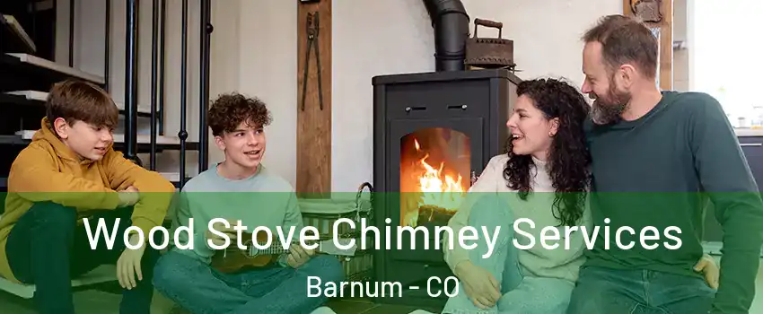 Wood Stove Chimney Services Barnum - CO