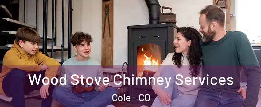 Wood Stove Chimney Services Cole - CO