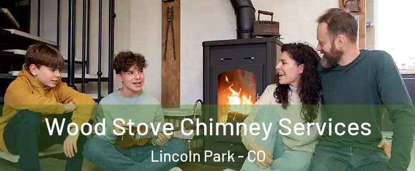 Wood Stove Chimney Services Lincoln Park - CO