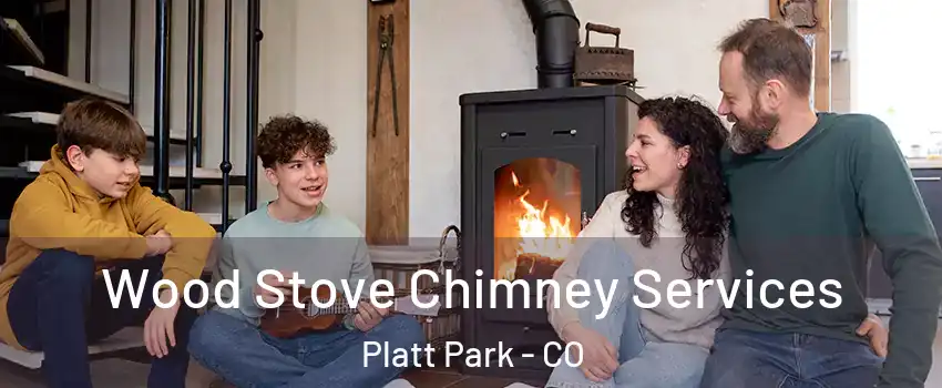 Wood Stove Chimney Services Platt Park - CO