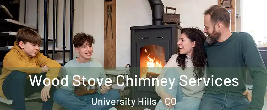 Wood Stove Chimney Services University Hills - CO