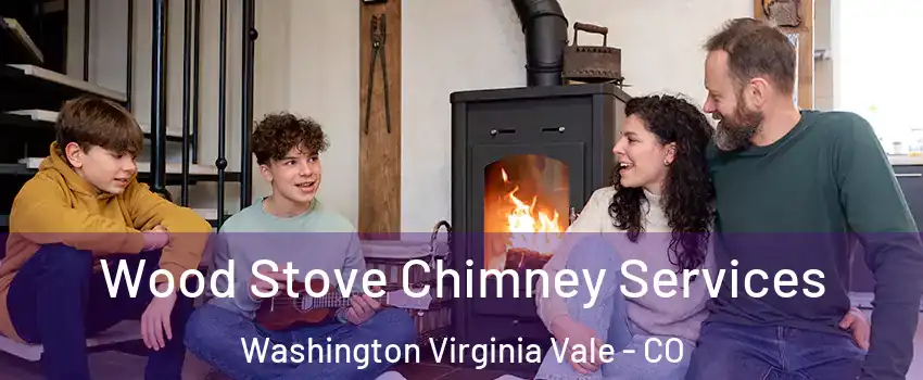 Wood Stove Chimney Services Washington Virginia Vale - CO