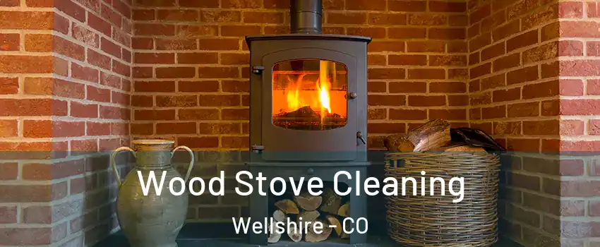 Wood Stove Cleaning Wellshire - CO