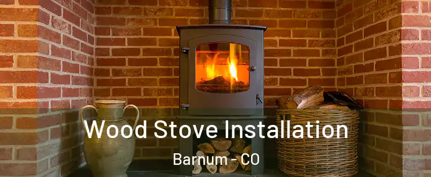 Wood Stove Installation Barnum - CO