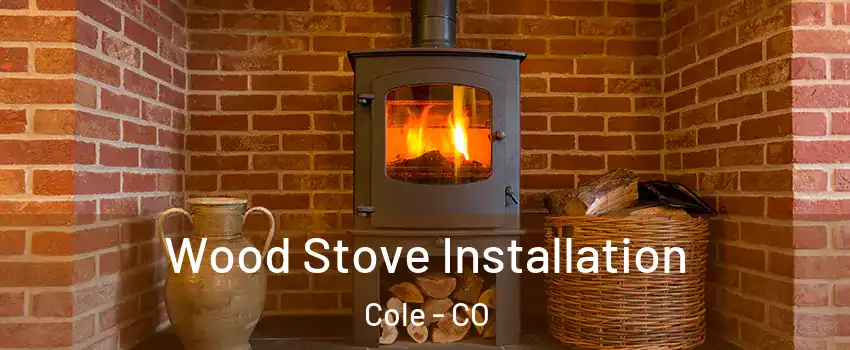 Wood Stove Installation Cole - CO