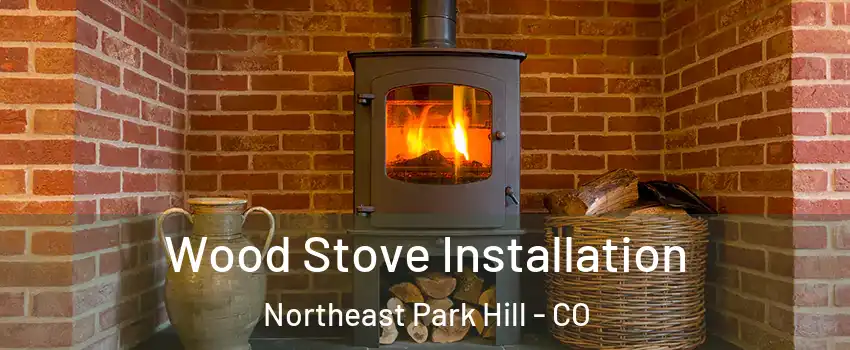 Wood Stove Installation Northeast Park Hill - CO