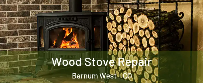 Wood Stove Repair Barnum West - CO