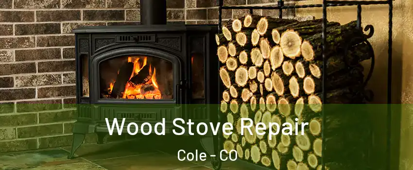 Wood Stove Repair Cole - CO