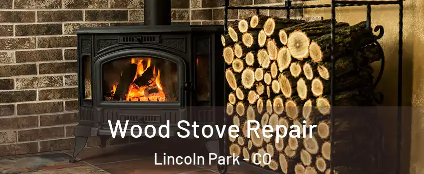 Wood Stove Repair Lincoln Park - CO