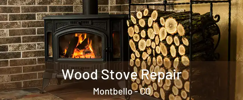 Wood Stove Repair Montbello - CO