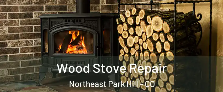 Wood Stove Repair Northeast Park Hill - CO