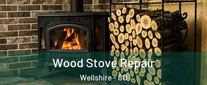 Wood Stove Repair Wellshire - CO